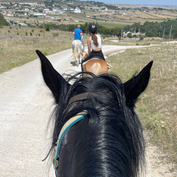 Horse-Trail Ride