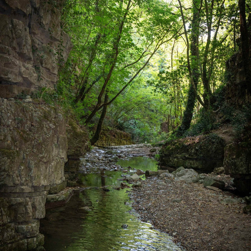 Trekking Through the Soul of Apulia