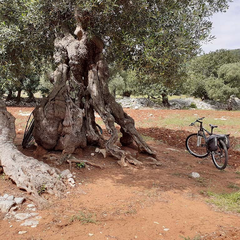 Bike Tour – Itria Valley