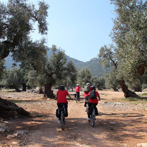 Bike Tour – Itria Valley
