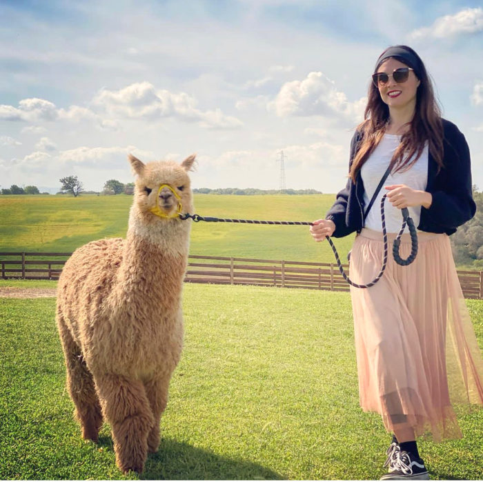 Walk with Alpacas – Nature & Smiles