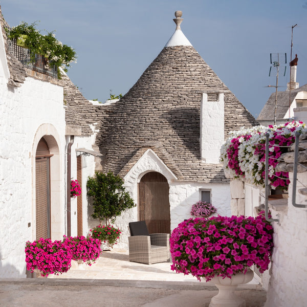 Day trips – Trulli, Stones & Traditions